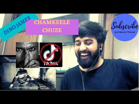 CHAMKEELE CHUZE - DINO JAMES REACTION | Girish Nakod | TIK-TOK DISS | #KatReactTrain | BLUISH MUSIC