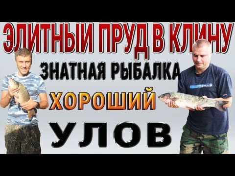 Рыбалка под конец лета 2018 года на ЭЛИТНОМ ПРУДУ в Клинском РЫБХОЗЕ