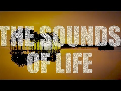 The Sounds of Life — Documentary