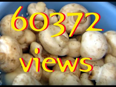 #šampinjoni #umaci #chef #mushroomsauce NAJBOLJI UMAK OD ŠAMPINJONA-HOMEMADE Mushroom sauce