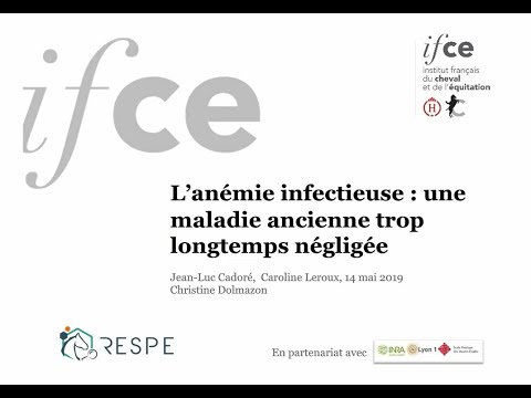 , title : 'Anémie infectieuse : maladie ancienne trop longtemps négligée - Jean-Luc Cadoré'