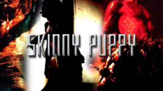 skinny puppy - knowhere?