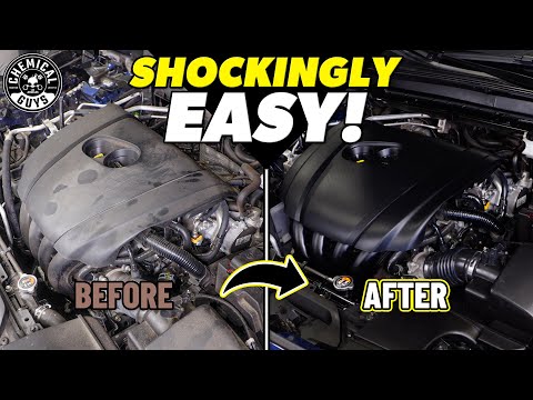 Easy Engine Bay Detailing - How To Wash Your Dirty Engine Bay With Two Products!