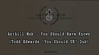 Anthill Mob - You Should Have Known (Todd Edwards 'You Should UK' Dub)