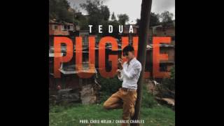TEDUA - Pugile (Singolo) Prod. Chris Nolan &amp; Charlie Charles