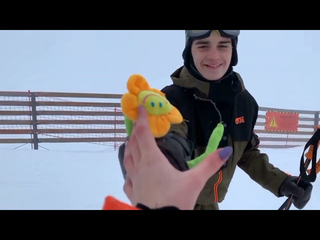 превью