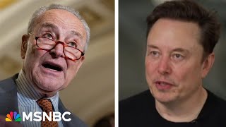 Americans deserve apology from Musk for damage DOGE has created: Sen. Schumer