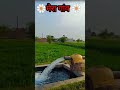Asli Kishan Mahesh Babu Motivation South Indian Movie Hindi Feedshorts