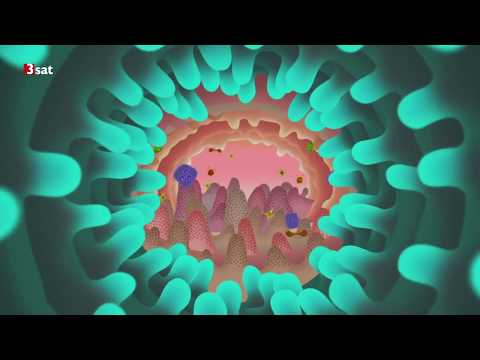 Wunderwaffe Mikrobiom - Kleine Helfer, große Wirkung. Doku. 3Sat.