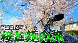 【ゆっくりモトブログ】千葉県ルーレットの旅～松戸編～