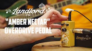 Video thumbnail for LANDLORD FX "Amber Nectar" Overdrive Pedal by GUITARGUITAR
