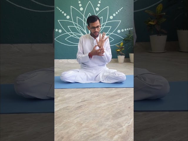 Palm Placement in Yoga Asanas