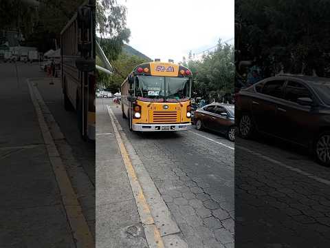 #bluebird T3 #allamerican #ruta A #sanmarcos #sansalvador #terminal #chickenbus #elsalvador