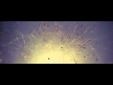 Sailor - Jardier