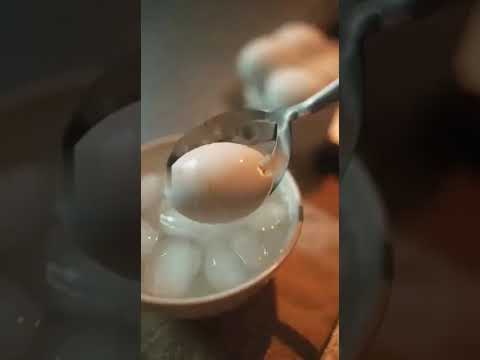 Eggspert