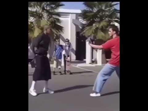 LSD kungfu#mcdojolife #kungfu #reels