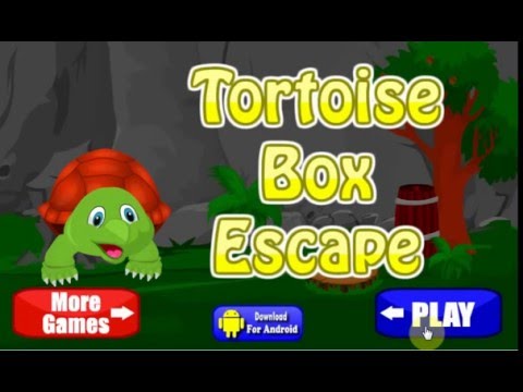 tortoise box escape walkthrough