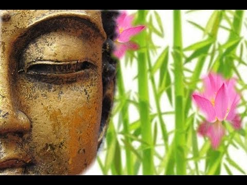 Tagesenergie - Worauf darfst du dich einstellen?