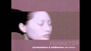 burnt by the sun - luddite clone (full split)