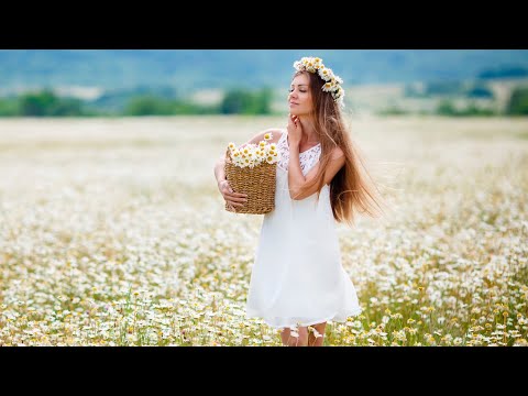 FISH OUT OF WATER CHRIS SQUIRE