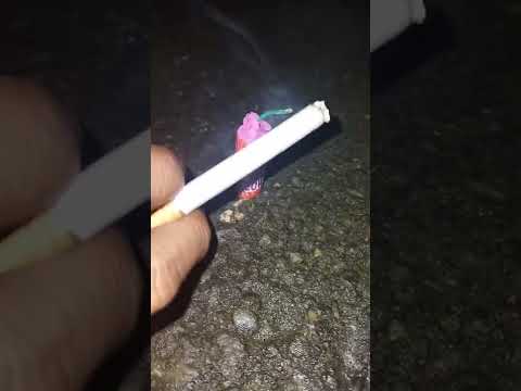 HAPPY FLOWER DOR / PRETEK 1 PACK 6 PCS / KEMBANG API DISKO