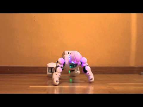 Robot doing push ups