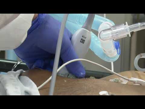 America’s Health Auerbach