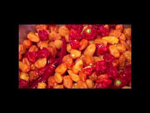 the cooking channel - kelsey's essentials - fiery foods