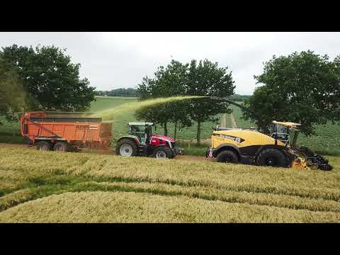 Loonbedrijf Verplancke| GPS Hakselen 2021 | New Holland FR 650 |  Geringhoff maaibord|