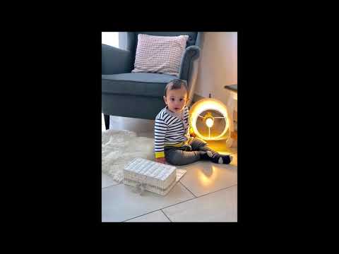 Daniel Stoica - 4 avertismente si o alarma de gradul 4 premergatoare caderii