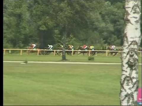 LL, 6. 7. 2016, 2. dostih - HANDICAP ECOLITE