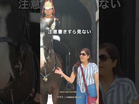 近衛兵たちが日本人を好きな理由