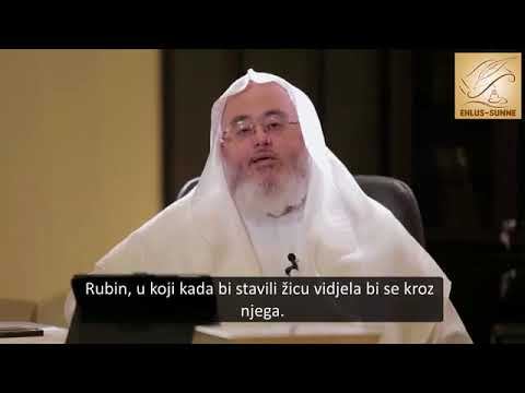 Ajeti koji čuvaju od bluda - Šejh Muhammed el-Munedždžid