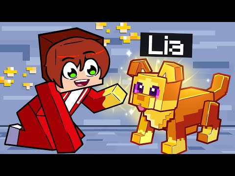 Minecraft'ta GOLDEN KÖPEK olarak Arkadaşlarıma Yardım Ettim!
