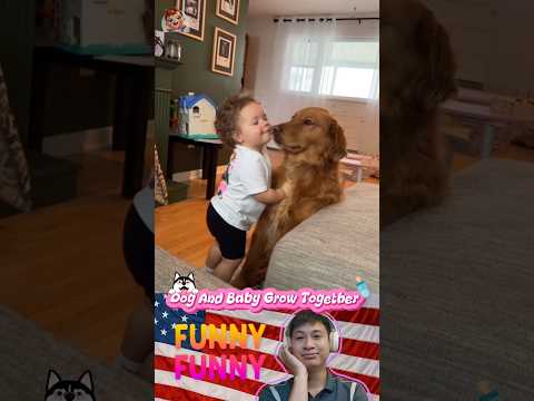 🐶👶🥰 Dog and Baby Grow Together |#164| #shorts #funny #baby #dog #love #growtogether #pets #puppy