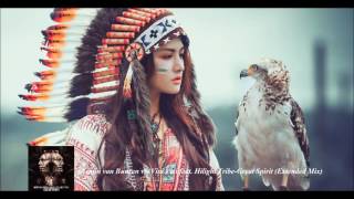 Armin van Buuren vs  Vini Vici feat  Hilight Tribe - Great Spirit (Extended Mix)