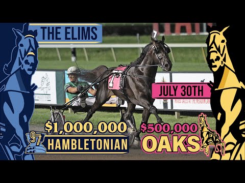 The Elims - #Hambo22