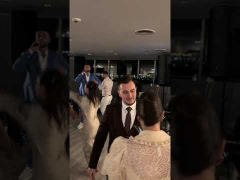 culita sterp - colaj bihor