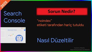 noindex Etiketi Tarafından Hariç Tutuldu Sorunu Nedir Ve Nasıl Düzeltilir