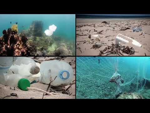 A message from Sir David Attenborough for #WorldOceansDay