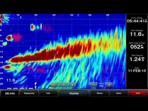 Garmin Pro Staff on PanOptix And How To Use It