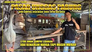 Download lagu UPDATE HARGA AYAM KAMPUNG, ENTOK, BEBEK DAN ANGSA PASAR PARUNG BOGOR mp3