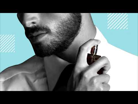 4D Morphic Field: Pheromones