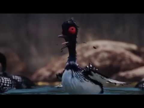 If Finding Dory was a scary thriller