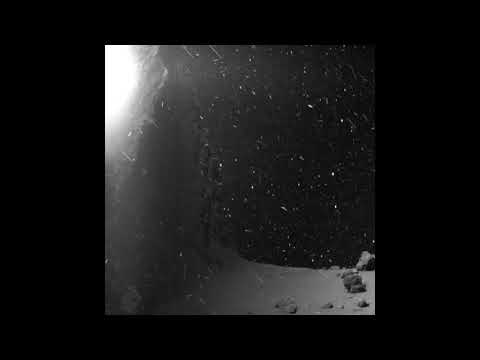 TRUSTY x VIAOTICA x JONA ALK - PIEL FRÍA (REMIX)