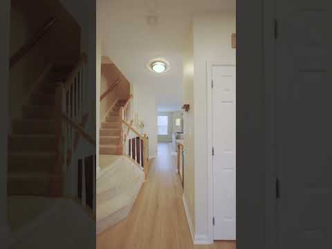 Vertical Reel – Vicki's