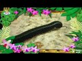 Baby TV Amazing The World Small Animals