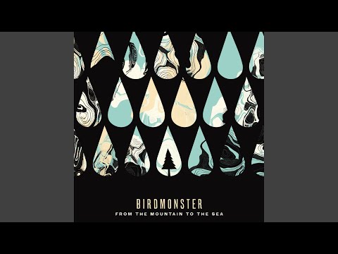 I Might Have Guessed - Birdmonster