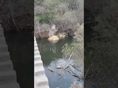 Río El Volcán, San Luis, arg , 😍