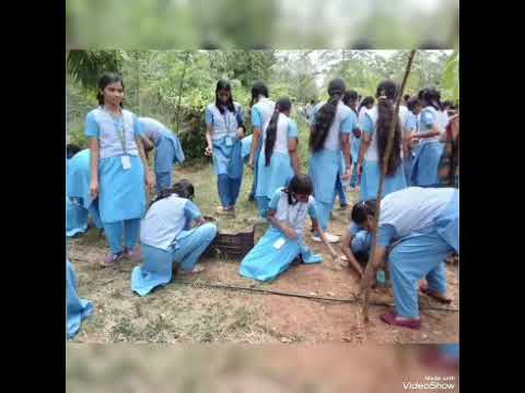 Learning Beyond the Classroom! Farmshala Field Trip